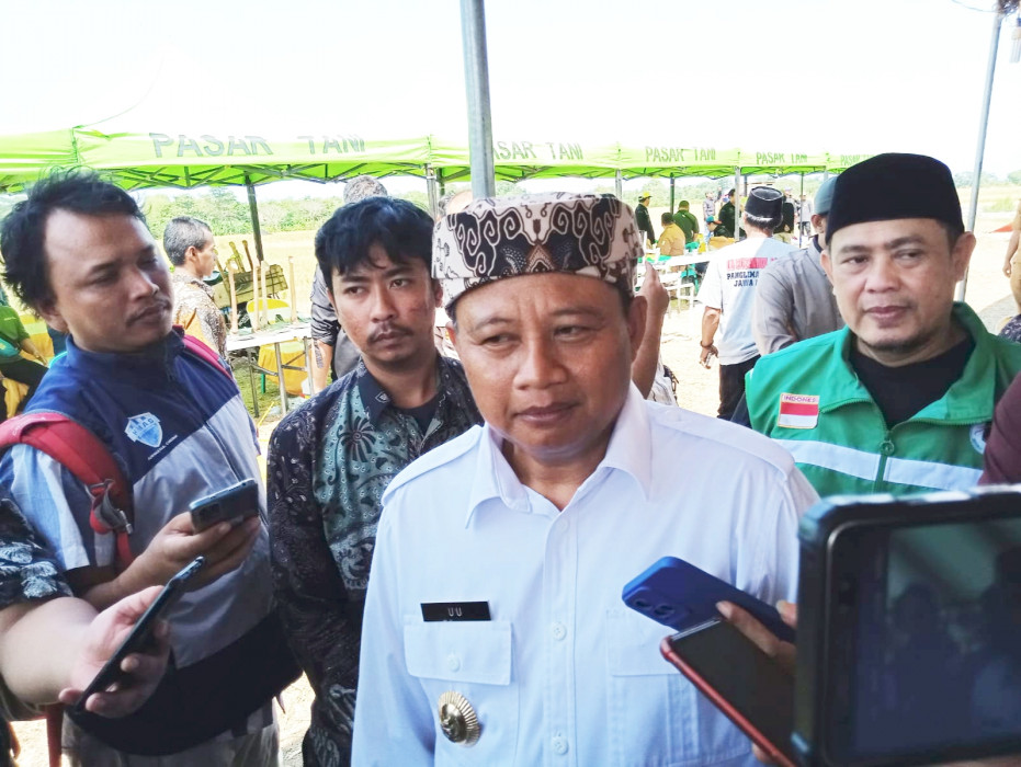 Caption : Wakil Gubernur Jawa Barat, Uu Ruzhanul Ulum saat meninjau panen raya padi di Kabupaten Cirebon. Foto : Joni
