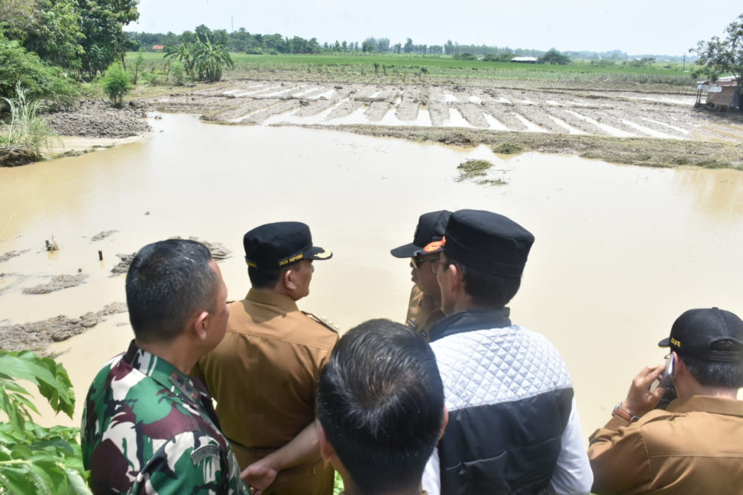 Caption: Pj Bupati Majalengka, Dedi Supandi, bersama sejumlah pejabat terkemuka daerah saat meninjau lokasi banjir di Kecamatan Kertajati, Senin (12/2). Foto: Ist