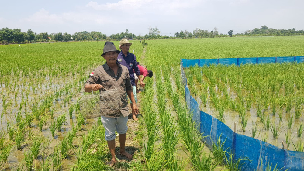 Teknologi Perangkap Tikus